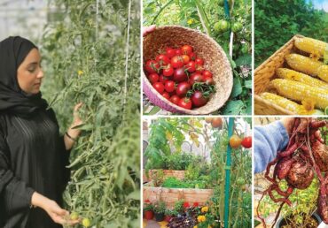 الزراعة المنزلية من الصفر: دليلك الكامل لبدء الزراعة في البيت مع متجر غرسة