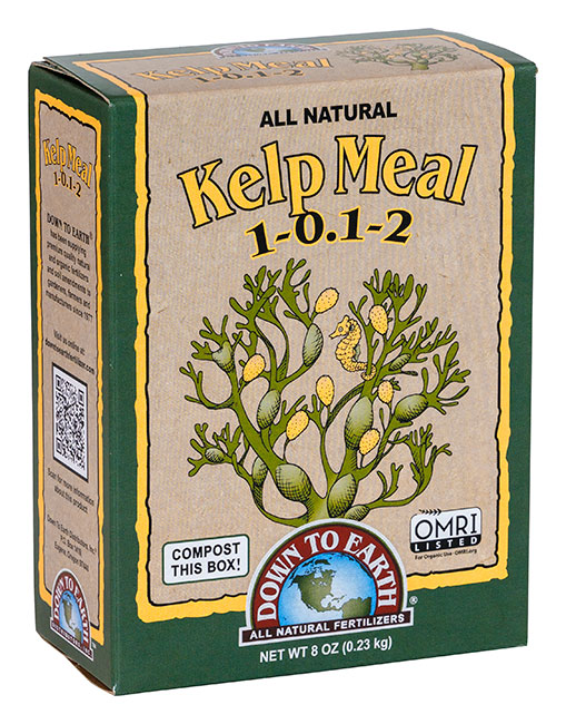 Down to Earth Kelp Meal 1-0.1-2 داون تو إيرث علف الأعشاب البحرية