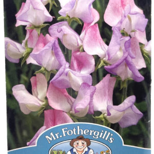 Sweet Pea زهرة البازلاء العطرية