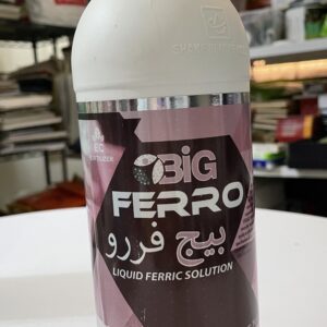 Big Ferro بيج فررو