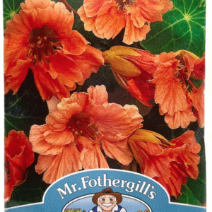 Nasturtium Salmon أبوخنجر سلمون