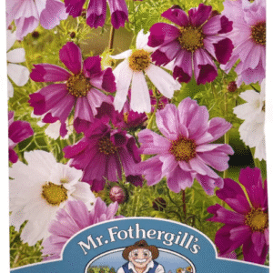 Cosmos Compact  كوزموس مكبس وردي