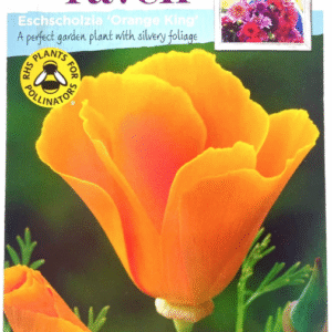 Orange Poppy خشخاش برتقالي