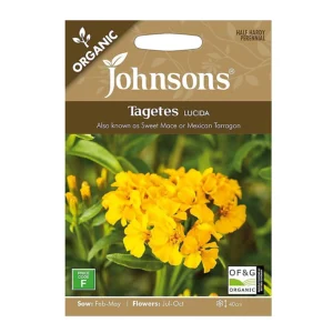 Tagetes طرخون مكسيكي
