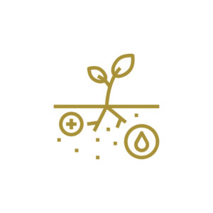 المغذيات العضوية