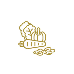 بذور الخضراوات