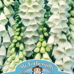 Foxgloves فوكس غلوف