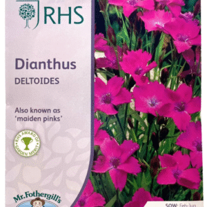 Dianthus ديانثاس