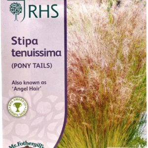 Stipa (Pony Tails) بوني تيل