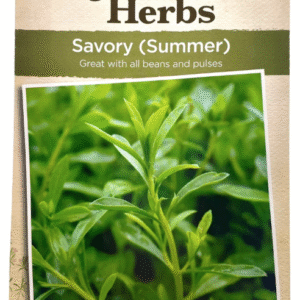 Summer Savory زعتر سافوري الصيفي
