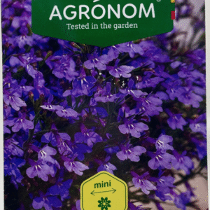 Lobelia لوبيليا