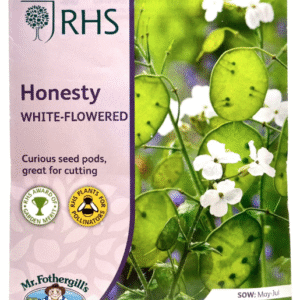 Honesty أونستي