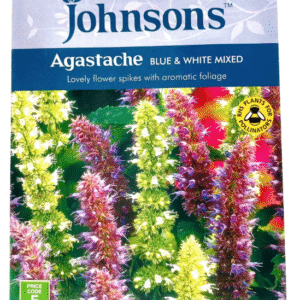 Agastache زوفا - هيسوب ملون(عطرية)