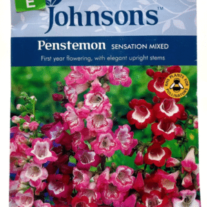Penstemon بنسطمون أحمر