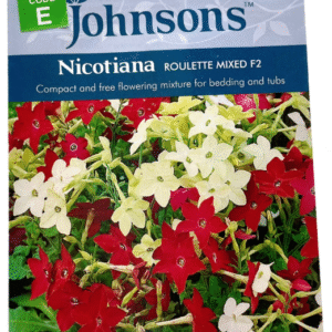 Nicotiana نيكوتيانا (تبغ)
