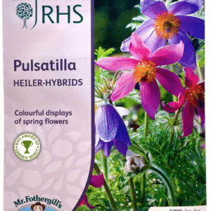 Pulsatilla بولساتيلا