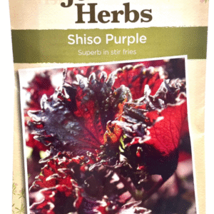 Shiso Purple شيسو أحمر