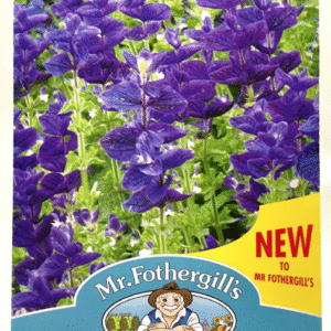 Salvia Clary سالفيا