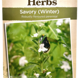 Winter Savory زعتر سافوري الشتوي