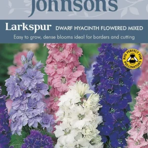 Larkspur لاركسبور ديفيلينيم