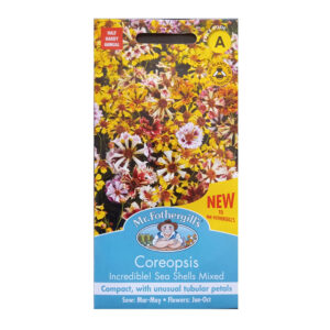 Coreopsis Cosmos Compact كوزموس مكبس أبيض أصفر