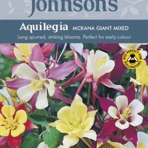 Giant Auqilegea اكويليغيا عملاقة