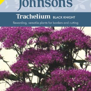 تراخيليوم (العنق)